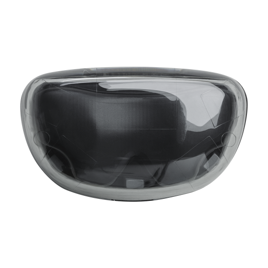 JBL Tune Flex Ghost Edition | True wireless Noise Cancelling earbuds